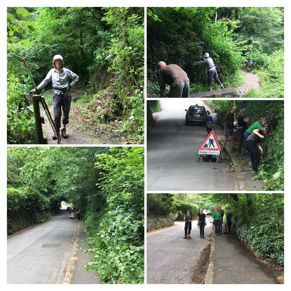 Collage of photos showing volunteers at work clearing the path